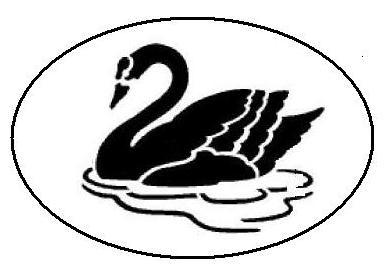 black swan in oval by CSA Wealth Management, LLC